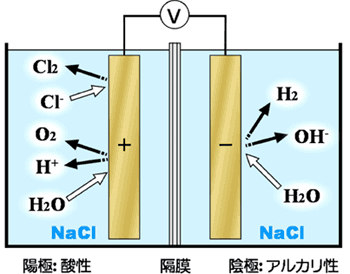 強酸性電解水生成装置（有隔膜二槽式）の概略図