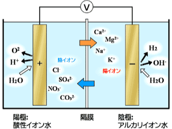 飲用アルカリ性電解水生成装置の概略図