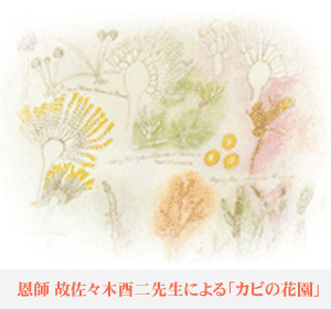 恩師　故　佐々木酉二先生による「カビの花園」
