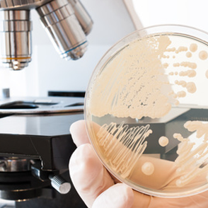 微生物検査・試験