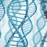 微生物同定試験