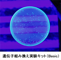 DNA抽出キット